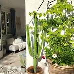 Cap D'antibes 50m From The 3 Bedrooms/pool וילה