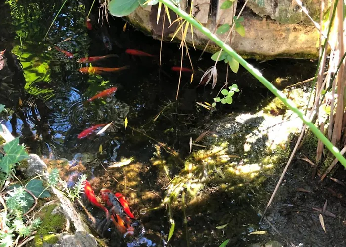 Βίλα Cap D'antibes 50m From The 3 Bedrooms/pool *