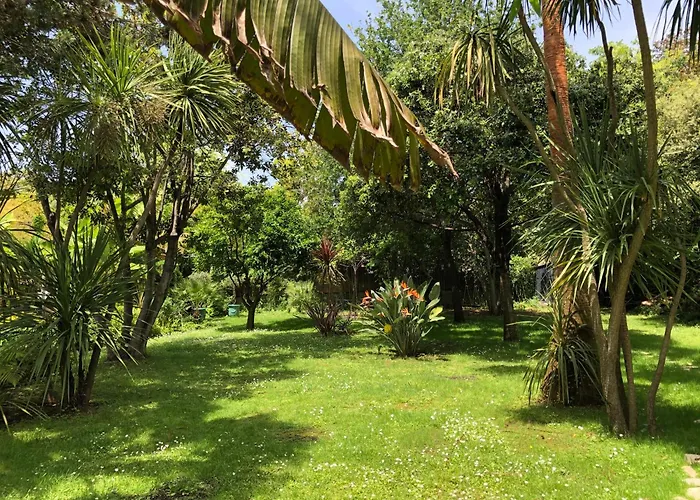 Cap D'antibes 50m From The 3 Bedrooms/pool