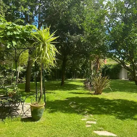 Cap D'antibes 50m From The 3 Bedrooms/pool * Antibes