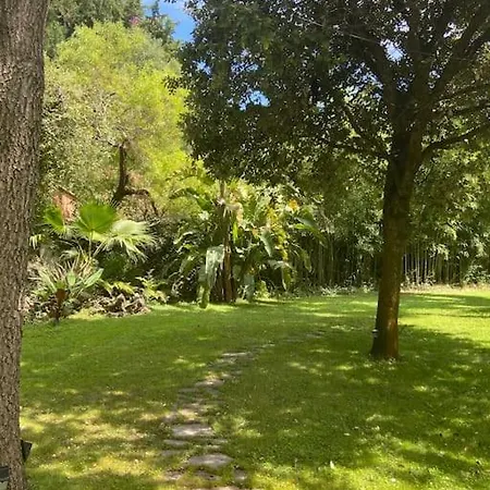 Cap D'antibes 50m From The 3 Bedrooms/pool Villa *