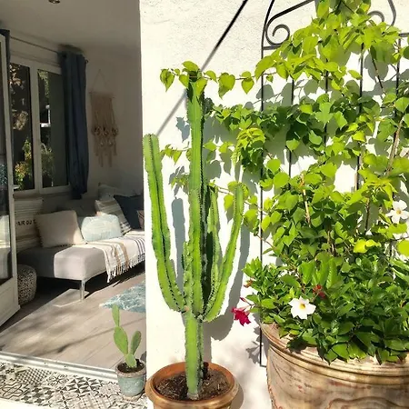 Cap D'antibes 50m From The 3 Bedrooms/pool Villa