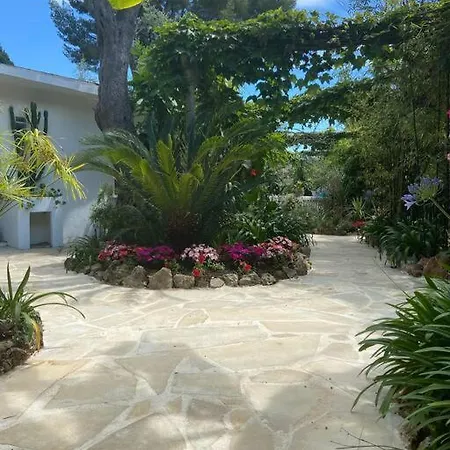 빌라 Cap D'antibes 50m From The 3 Bedrooms/pool 앙티브