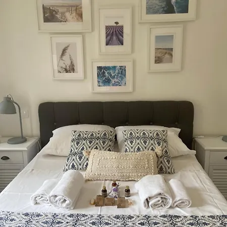 Cap D'antibes 50m From The 3 Bedrooms/pool * Antibes