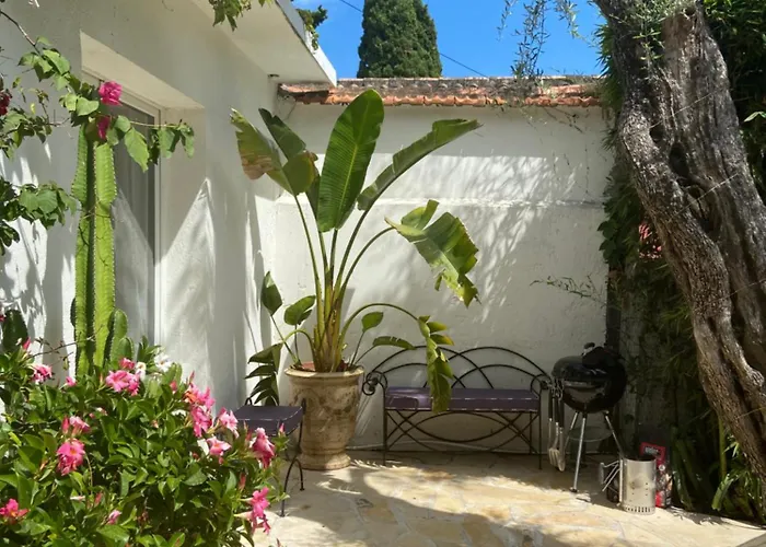 Cap D'antibes 50m From The 3 Bedrooms/pool