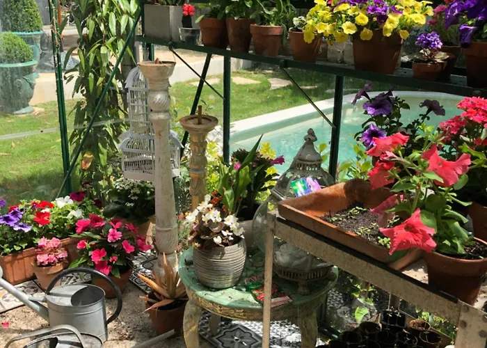 Cap D'antibes 50m From The 3 Bedrooms/pool *